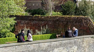 Cambridge's gossip culture is a double-edged sword