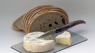 Is camembert the secret to a gouda memory?